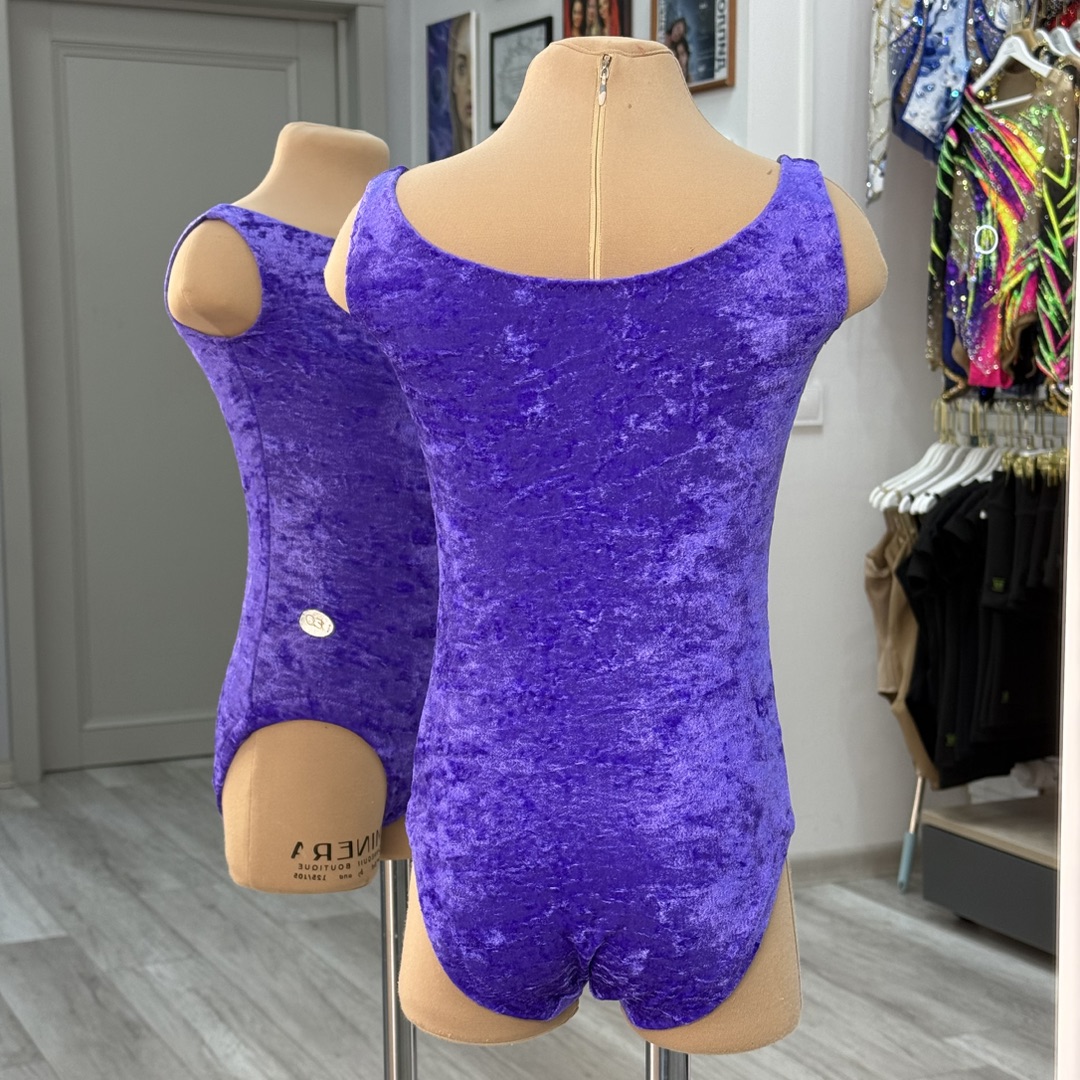 Костюм для художественной гимнастики EDsport арт. 156